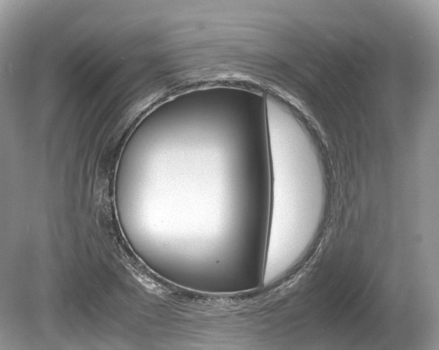 X0000080190881200612081157