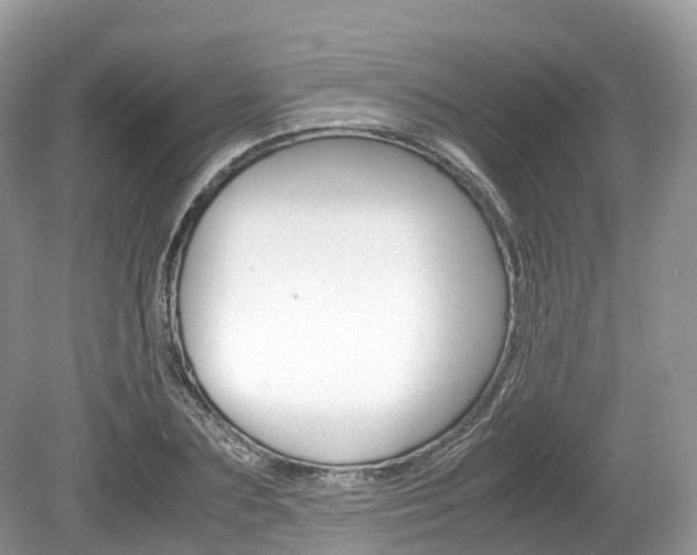 X0000080190883200612081157