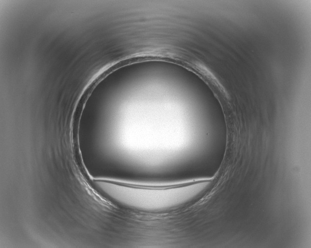 X0000080190884200612081157