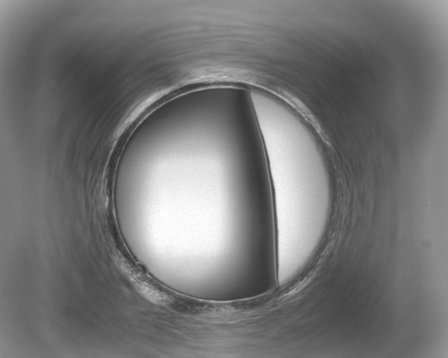 X0000080190885200612081157