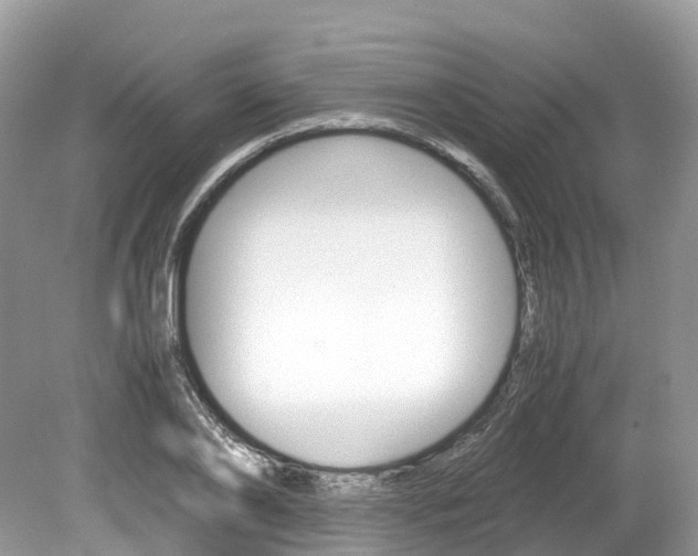 X0000080190886200612081157