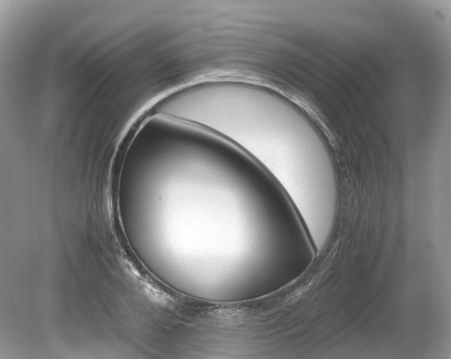 X0000080190888200612081157