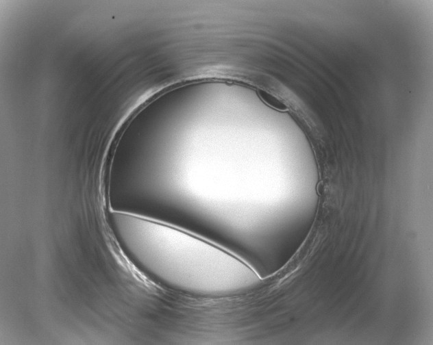 X0000080190892200612081157