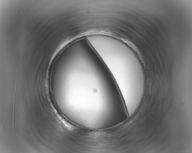 X0000080190894200612081157
