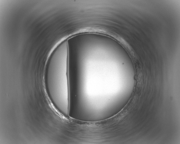 X0000080190896200612081157