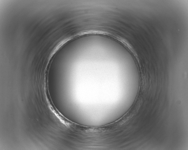 X0000080190898200612081157