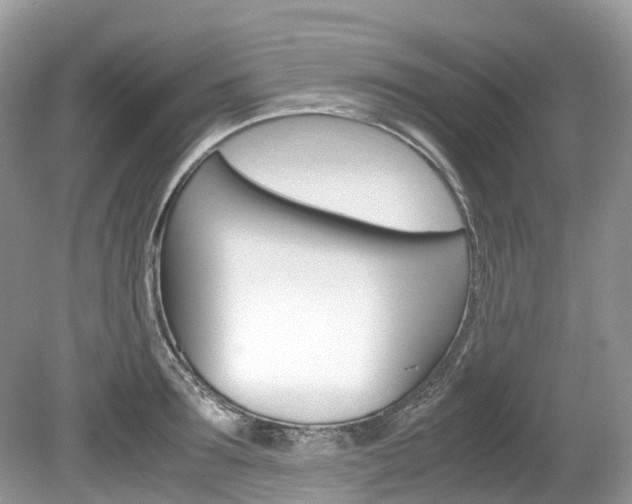 X0000080190899200612081157