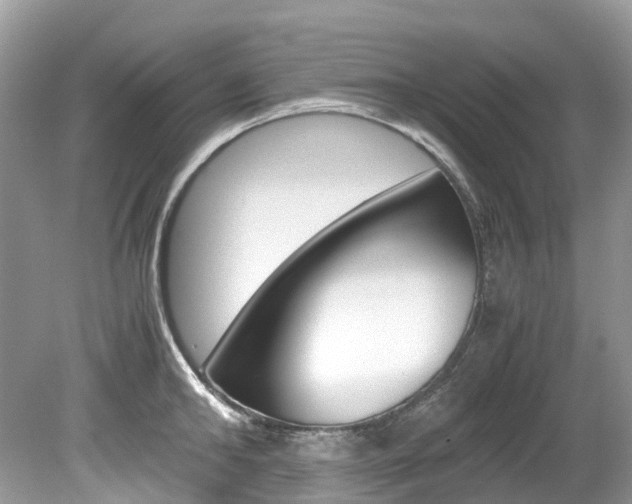 X0000080190902200612081157