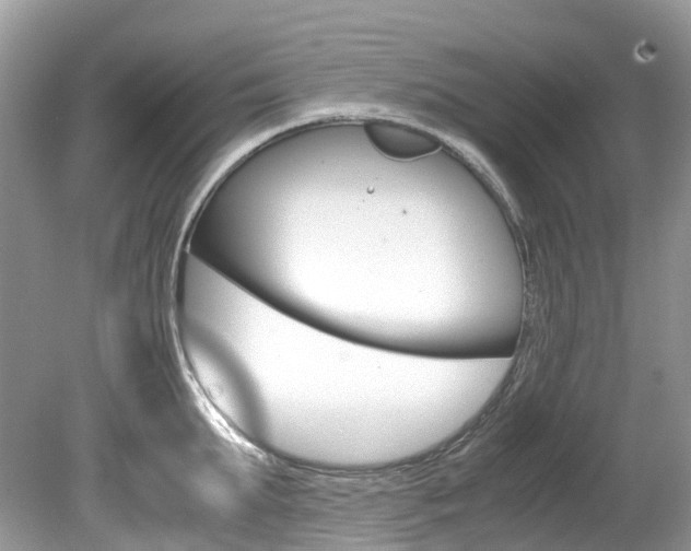 X0000080190903200612081157