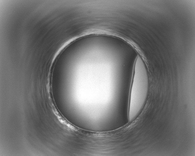 X0000080190904200612081157