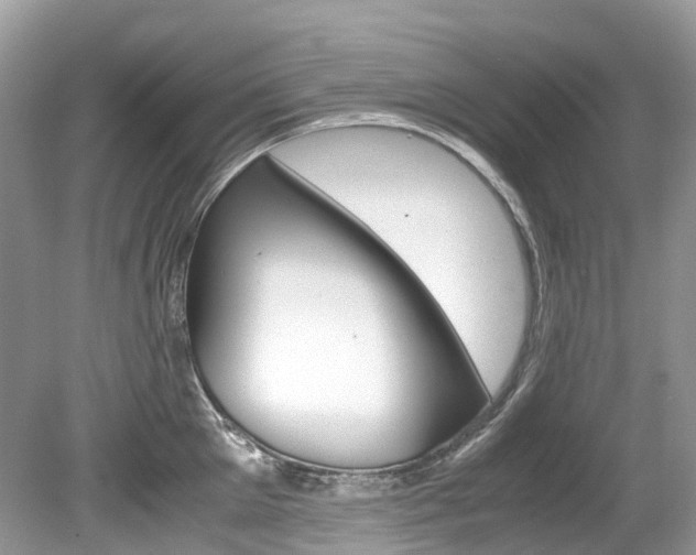 X0000080190905200612081157