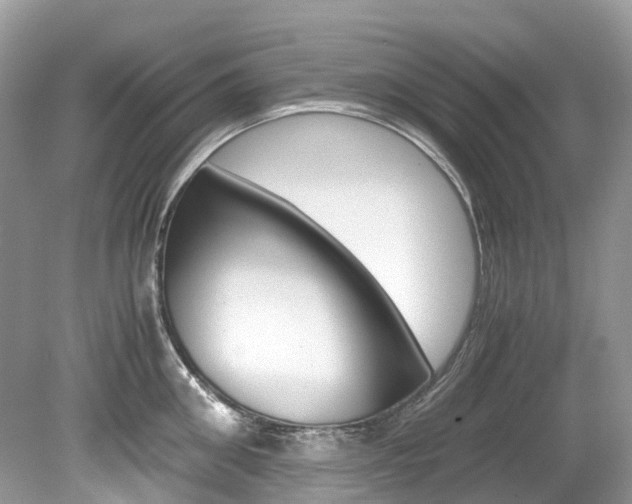 X0000080190906200612081157