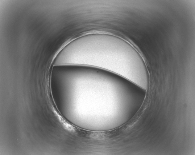 X0000080190909200612081157