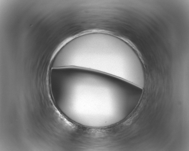 X0000080190910200612081157