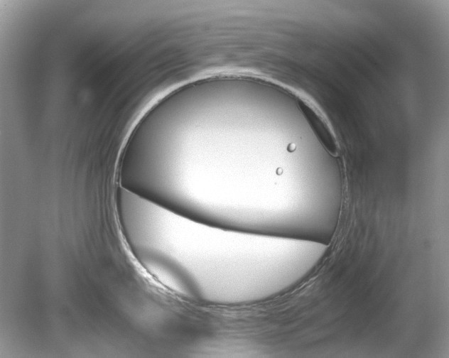 X0000080190911200612081157