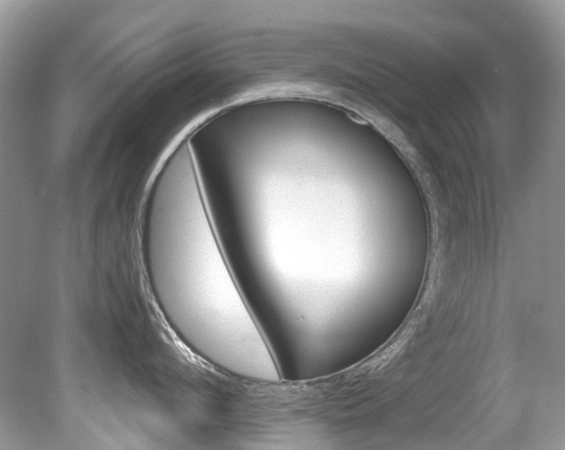 X0000080190912200612081157