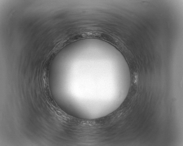 X0000080190915200612081156