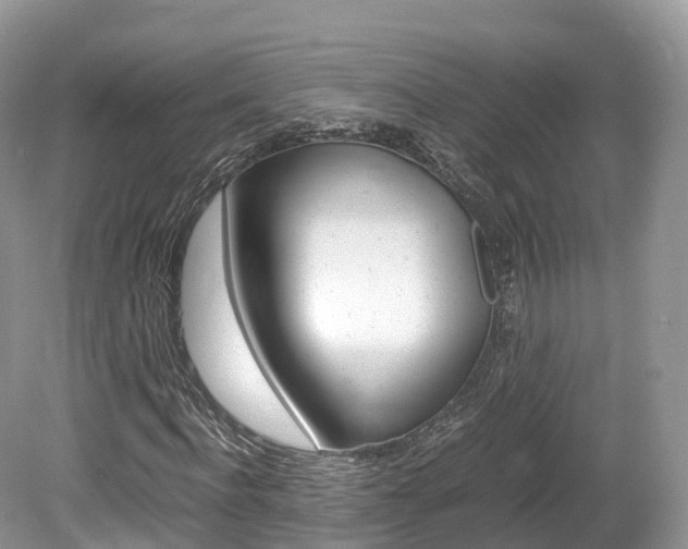 X0000080190916200612081156