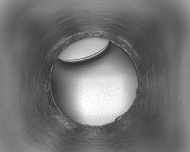 X0000080190919200612081156