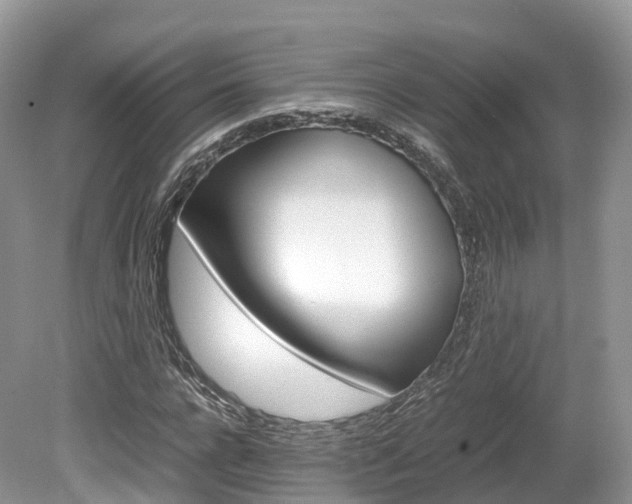X0000080190920200612081156