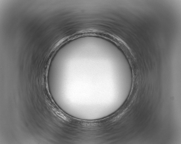 X0000080190921200612081156