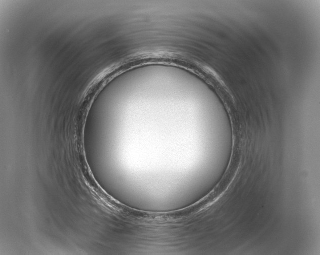 X0000080190922200612081156