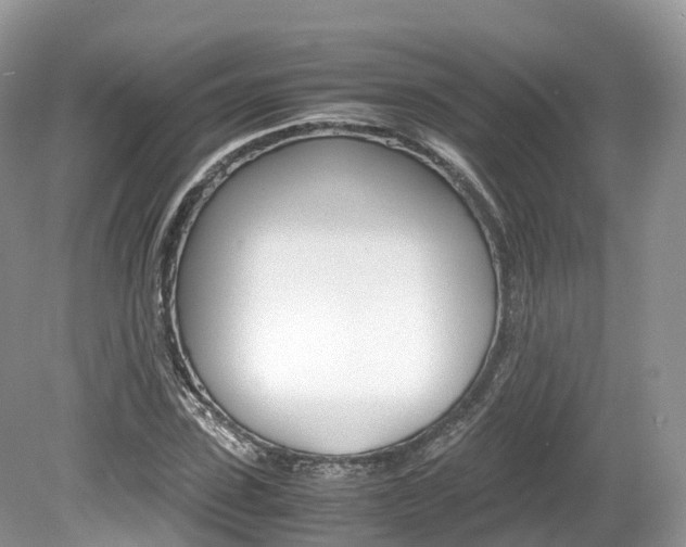 X0000080190923200612081156