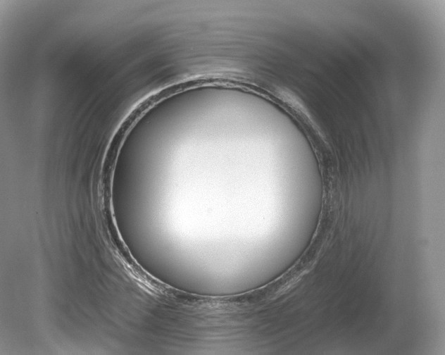 X0000080190924200612081156