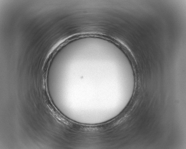 X0000080190925200612081156