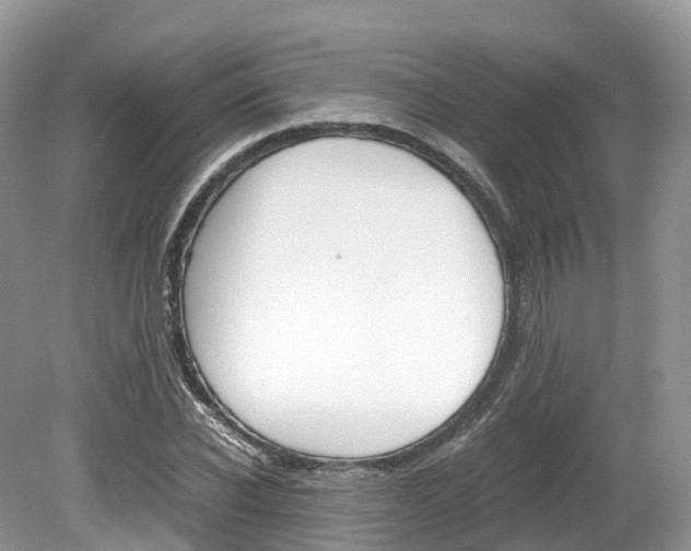 X0000080190926200612081156