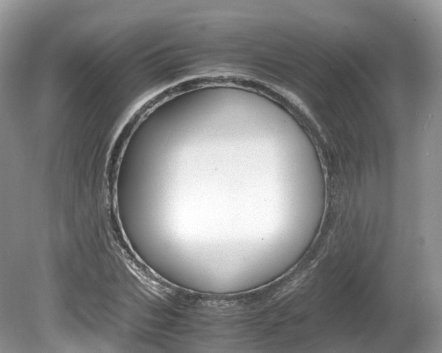 X0000080190927200612081156