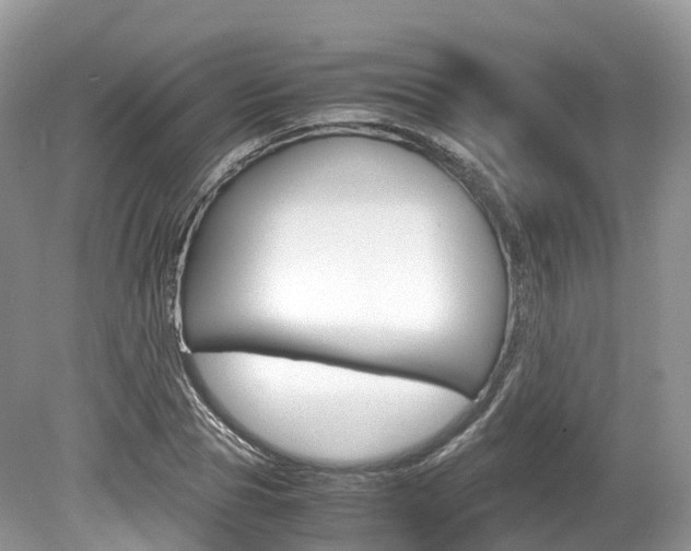 X0000080190929200612081156
