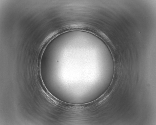 X0000080190930200612081156