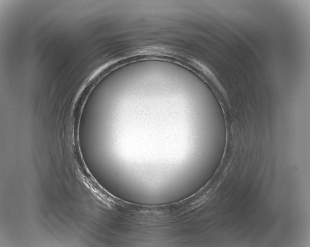 X0000080190931200612081156