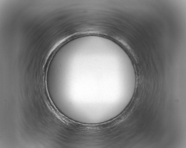 X0000080190933200612081156