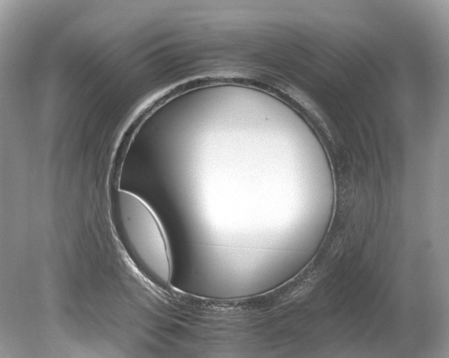 X0000080190935200612081156
