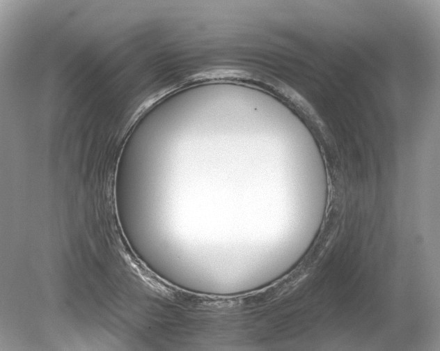 X0000080190937200612081156