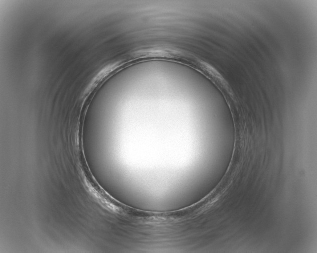 X0000080190938200612081156