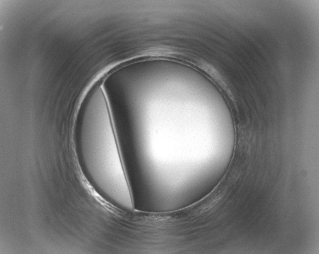 X0000080190939200612081156