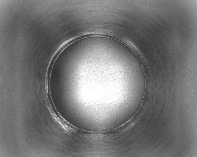 X0000080190940200612081156
