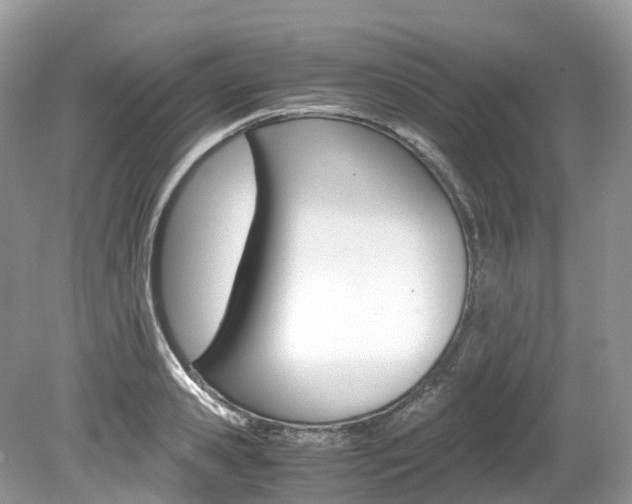 X0000080190941200612081156
