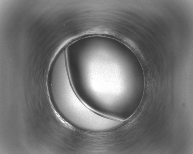 X0000080190942200612081156