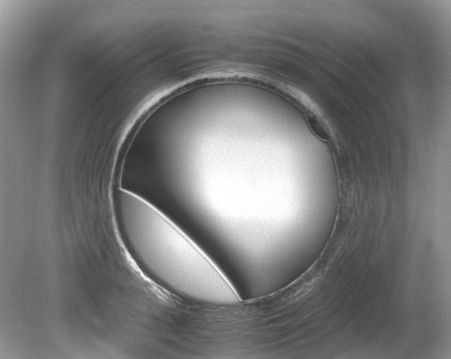 X0000080190943200612081156