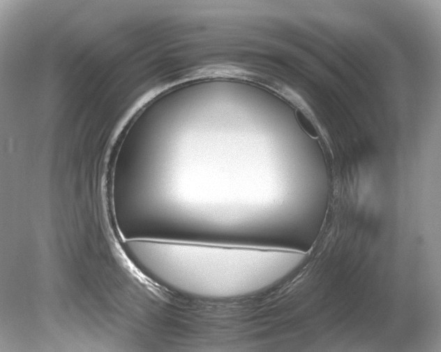 X0000080190947200612081156
