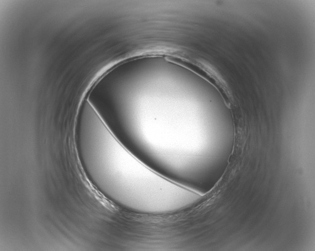 X0000080190948200612081156