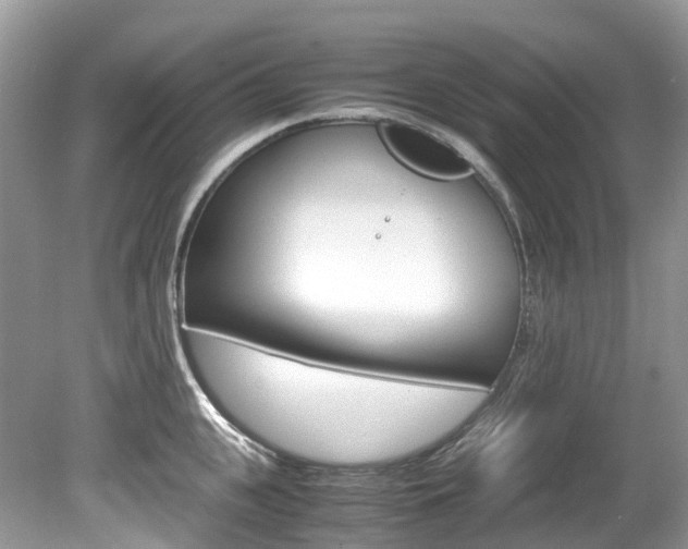 X0000080190951200612081156