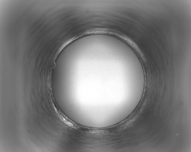 X0000080190953200612081156