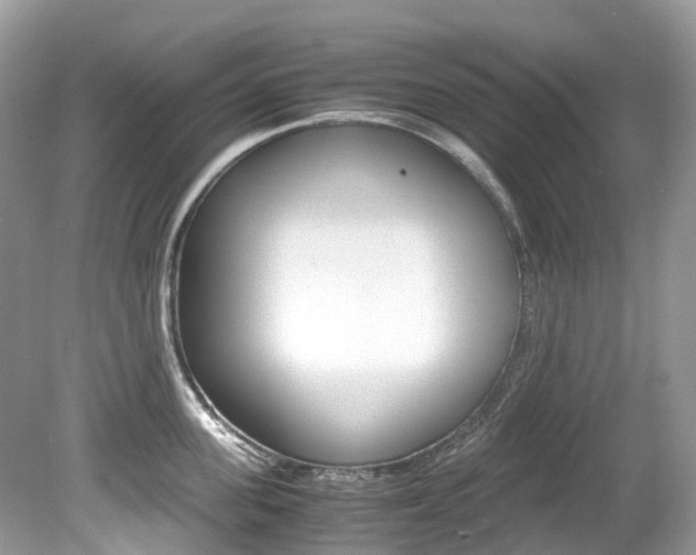 X0000080190955200612081156