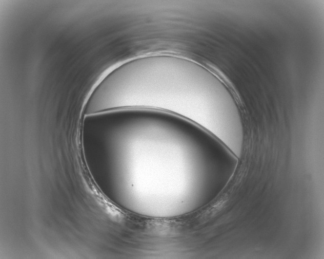X0000080190956200612081156