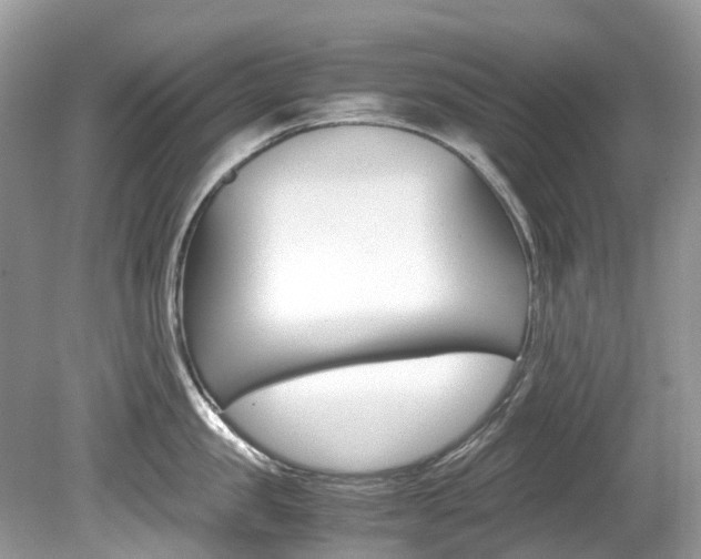 X0000080190957200612081156
